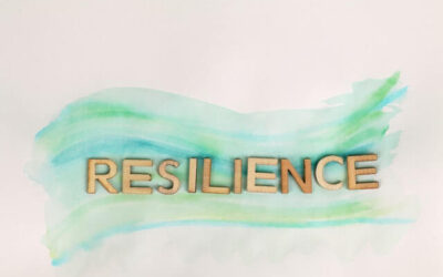 Resilience: Embracing Option B